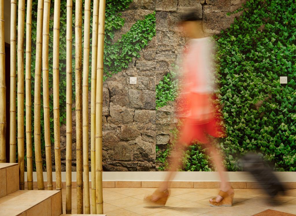 Hotel Menel The Tree House- Adults Only 利迈纳里亚 外观 照片